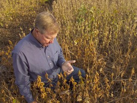 soybean research proposals