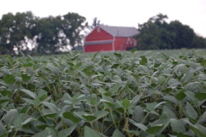 Three Farmer/Leaders Appointed to Pennsylvania Soybean Board