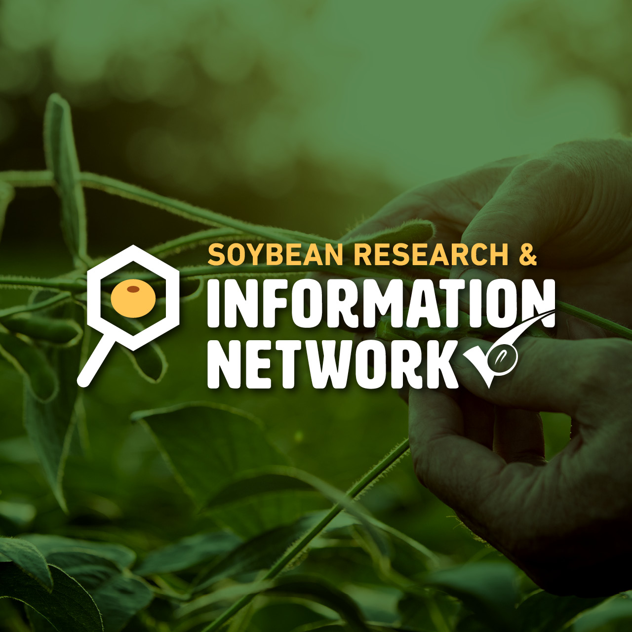 Soybean Research & Information Network