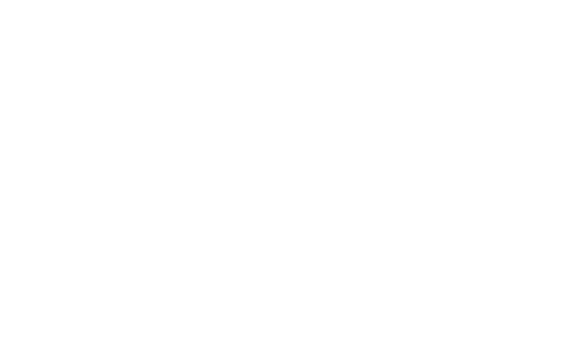 ussec logo