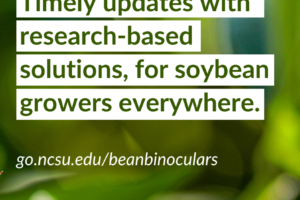 Bean Binoculars: A New Digital Database Tracks Soybean Issues in Real Time